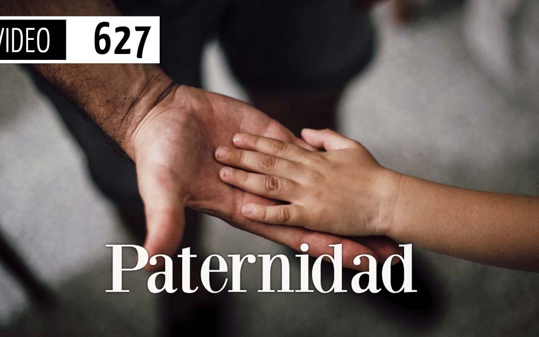Paternidad