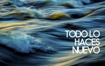 Todo lo haces nuevo